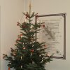 Senioren Weihnachtsfeier